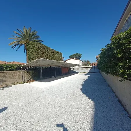 Apartment Le Palme 98 