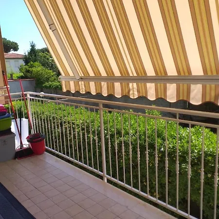 Apartment Le Palme 98 